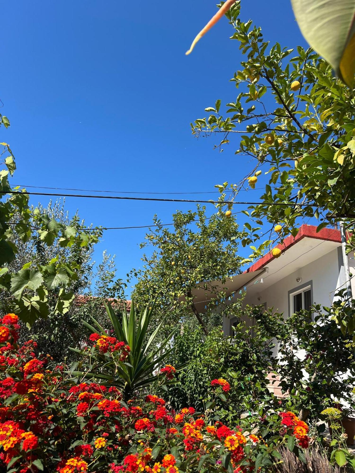 Ohanaa Apartament Sarandë Eksteriør bilde